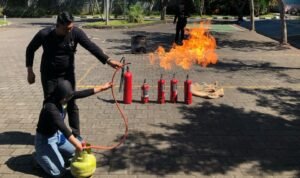 WhatsApp Image 2025-05-29 at 10.30.04 (17)