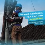 WhatsApp Image 2025-06-11 at 10.33.37