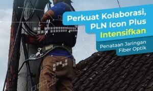 WhatsApp Image 2025-06-11 at 10.33.37