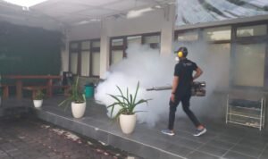 WhatsApp Image 2025-06-15 at 11.45.08