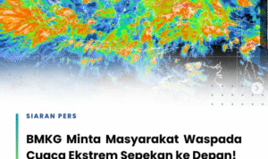 Screenshot 2025-11-11 232111