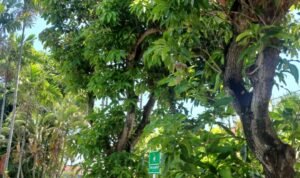 WhatsApp Image 2025-11-05 at 15.00.05