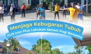 WhatsApp Image 2025-11-07 at 15.55.17