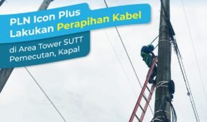 WhatsApp Image 2025-11-24 at 10.10.34