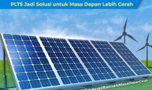 WhatsApp Image 2026-01-19 at 14.31.38