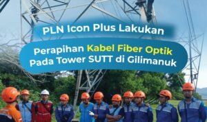 WhatsApp Image 2026-02-11 at 08.12.08