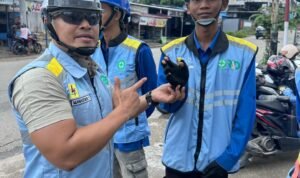 WhatsApp Image 2026-03-13 at 10.55.00